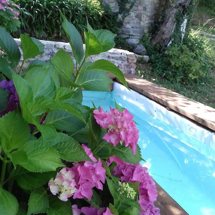 Hexagon Hotel Ortignano Raggiolo 0*,